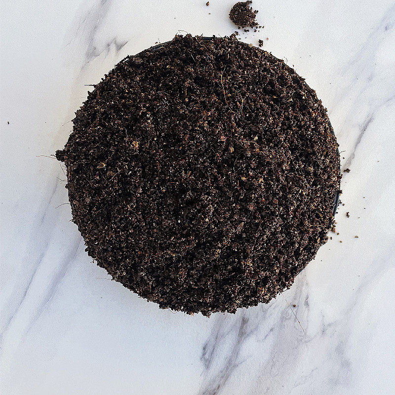 【菟子家多肉】多肉土、椰糠砖、麦饭石,鲜花速递/花卉仿真/绿植园艺,介质/营养土,淘宝优惠券,粉丝福利购,淘宝优惠卷