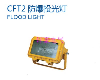 厂家直销     船用照明灯  CFT2  船舶专业用 防爆投光灯