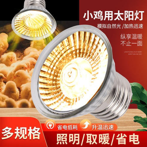 芦丁鸡保温灯小鸡育雏取