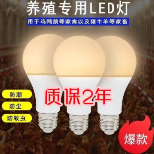 鸡舍养殖专用灯泡暖光灯恒流节能灯高质量耐久防水防尘led灯泡