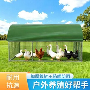 鸡舍遮雨棚养鸡棚全套户外养殖大棚全套鸽笼孔雀笼围鸡简易安装