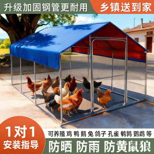 大型养殖鸡棚户外防雨棚鸡窝家禽鸡笼子鸭棚鸽舍家用组装鸡舍搭建
