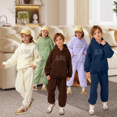 儿童连帽新款摇粒绒套头衫韩版