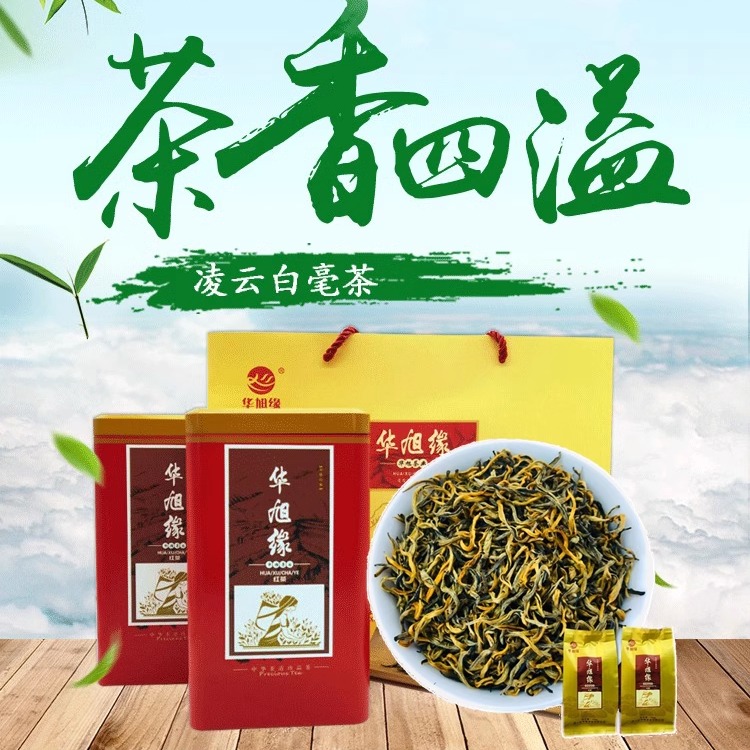 24头春单芽精品罐装红茶凌云白毫