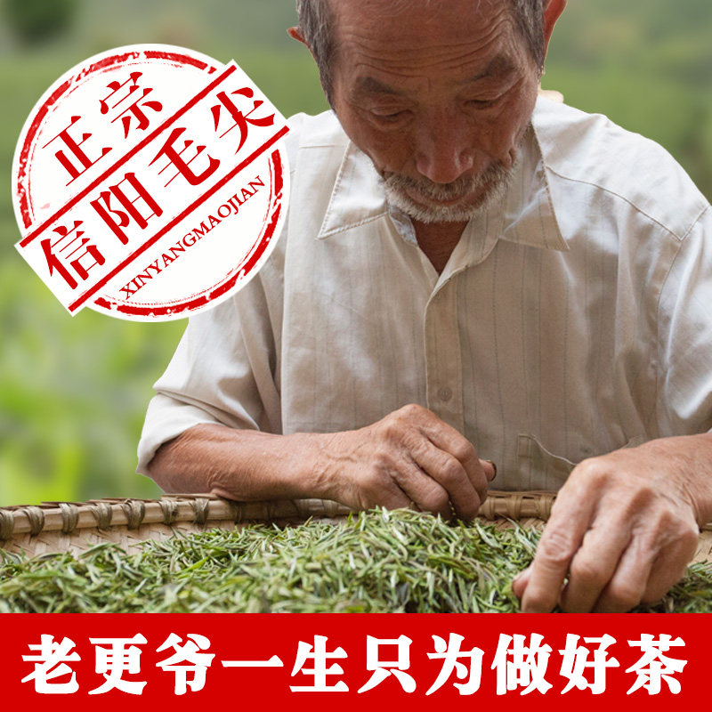 信阳毛尖2025新茶散装炒青绿茶