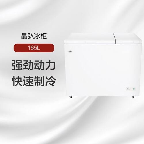格力冰柜家用大容量冷冻柜双温