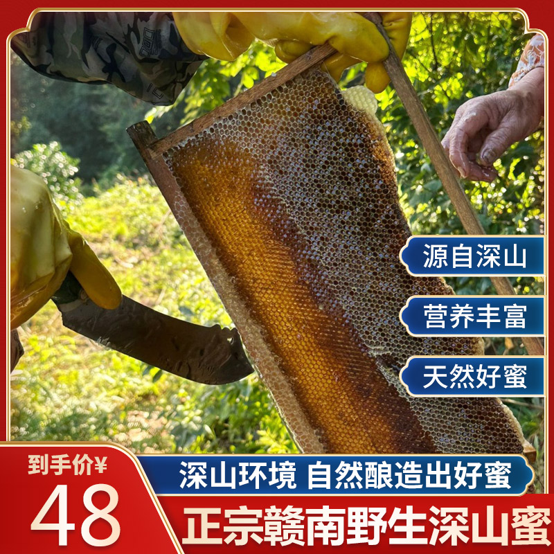 深山农家土蜂蜜自产纯天然江西赣南野生蜂蜜龙眼蜜百花蜜今年新蜜