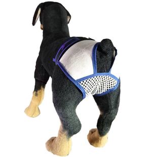 母月事防骚扰狗绝育例假狗防交配狗狗生理期安全裤可水洗