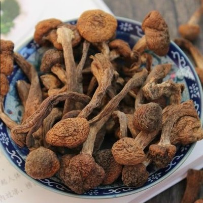 榛蘑东北野生蘑菇榛蘑丁小鸡炖蘑菇无根干货东北特产香菇500g包邮