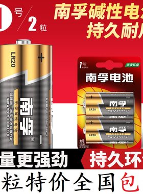 南孚碱性电池大号一号1号12节/盒电池燃气灶热水器用LR20-2B 1.5V