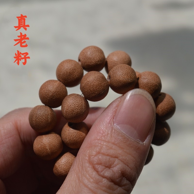 天台山野生五线菩提手串