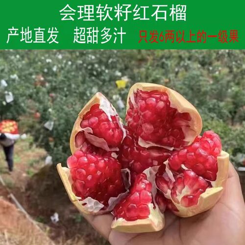 产地直发软籽红石榴现摘新鲜特甜