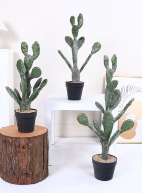 北欧风仿真莱昂仙人掌仙人柱沙漠植物盆栽摆件橱窗落地绿植盆景