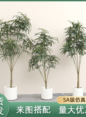 仿真孔雀木大型热带植物孔雀木假树仿生盆栽室内外装饰仿真绿植