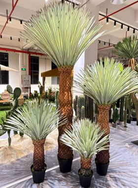 大型仿真菠萝头植物 沙漠绿植景观造景 室内商业橱窗落地装饰