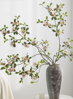 仿真植物海岛春花吊钟多瓣叶马醉木叶 ins风网红民宿家居装饰枝叶
