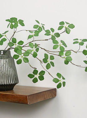 简约禅意仿真绿植仿真植物枝条室内陈设布置园艺装饰仿真观音莲叶