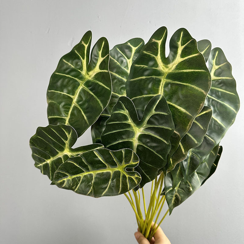 7片黑孔雀叶仿真植物家居装饰彩色芋头叶观音莲叶婚庆绿植海芋叶图片