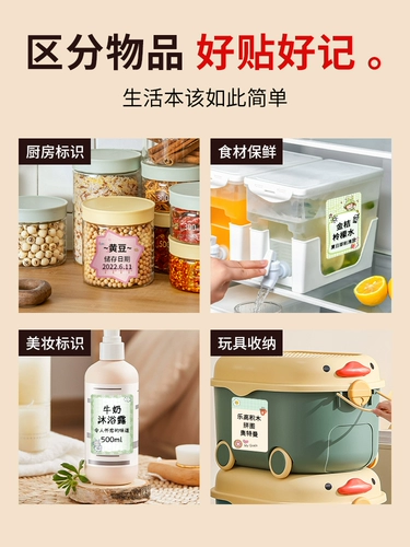 精臣 B1/B21/B21PRO/B21/B3S POST-IT заметки