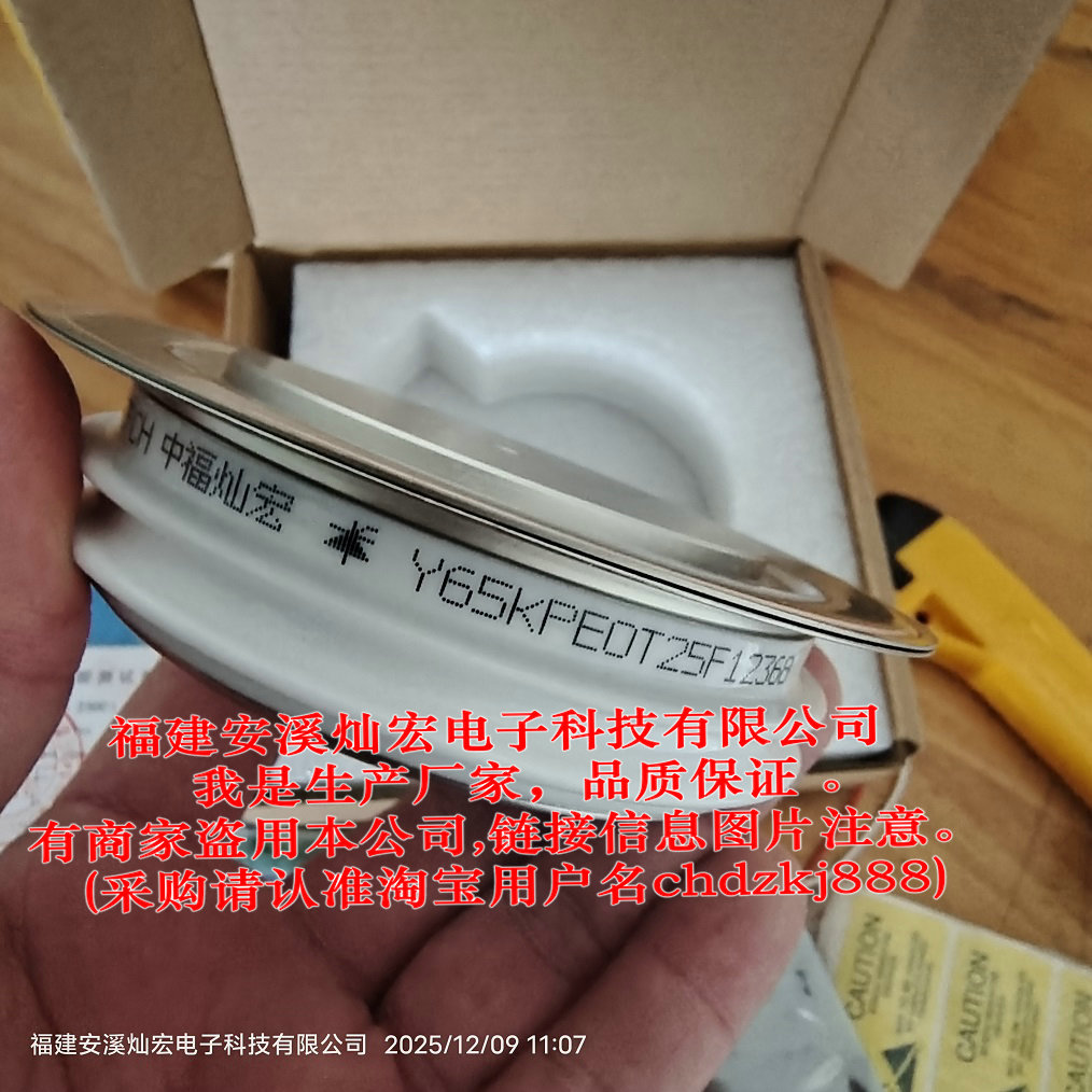 厂家 可控硅/晶闸管Y65KPE0T25E  Y65KPE0T20E