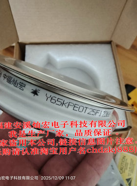 厂家 可控硅/晶闸管Y65KPE0T25E  Y65KPE0T20E