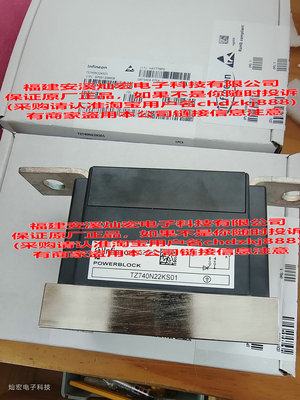 全新原装 IGBT功率模块TZ740N22KS01 可控硅模块TZ740N22KOF