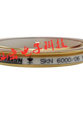 全新原装 可控硅/晶闸管SKN6000/02VF 1.25V 14KA 08228 拍联系