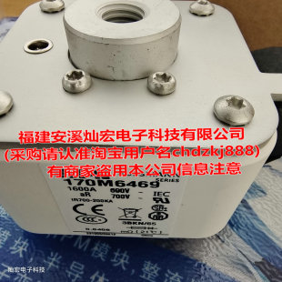 170M6469 170M2620 拍联系库存 低压熔断器170E3035 高压