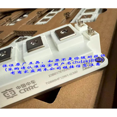 IGBT模块TG600HF12W1-G300 TG150HF17W1-S300 TG200HF17W1-S300