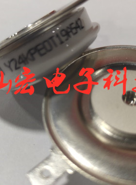 原装 晶闸管/可控硅Y24KP0T19A542   拍联系库存