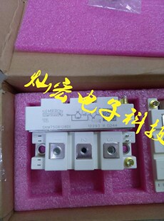 全新原装IGBT模块SKM100GB12T4 SKM100GB12T4G 拍联系库存价格