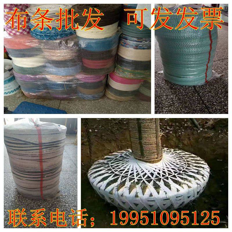 园艺布条布带捆土球打包绳子园林苗木包土球白色混色无纺布条包邮