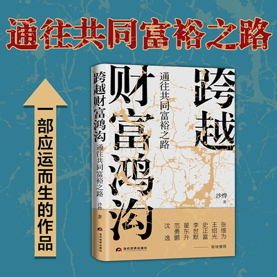 跨越财富鸿沟:通往共同富裕之路 沙烨著 张维为 王绍光 史正富 李世默 翟东升 经济作品书籍 9787509016206记忆坊图书全新正版