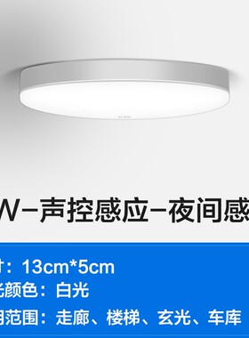 雷达人体感应吸顶灯led声光控家用楼道过道走廊楼梯智能人走灯灭