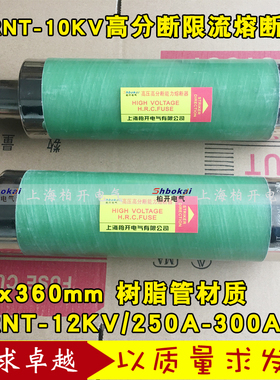 SDLAJ XRNT-12KV 250A 300A高分断能力高压限流熔断器10KV 88*360
