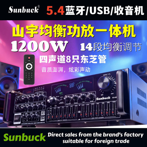 KA8900功放机AV4声道220V带均衡