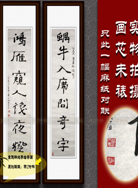 纯手写书法作品仿名人字画名家潘天寿四尺条幅对联挂画心蜗牛入席