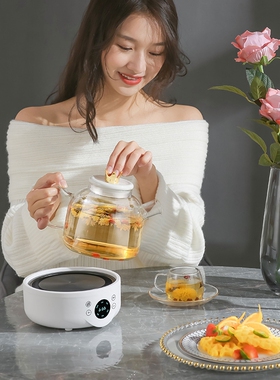 花茶养生壶玻璃煮茶壶燕窝炖盅