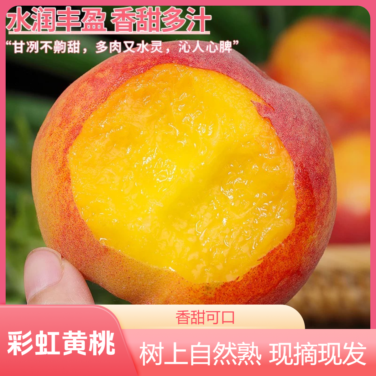 露天彩虹黄桃新鲜现摘水果当季桃子脆香甜黄金蜜桃整箱5斤