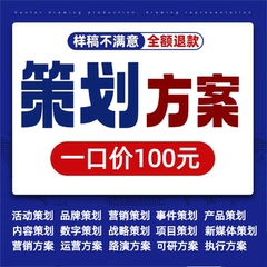 策划方案代写市场营销制作品牌活动开业庆典企业项目全案ppt撰写