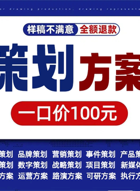 策划方案代写市场营销制作品牌活动开业庆典企业项目全案ppt撰写