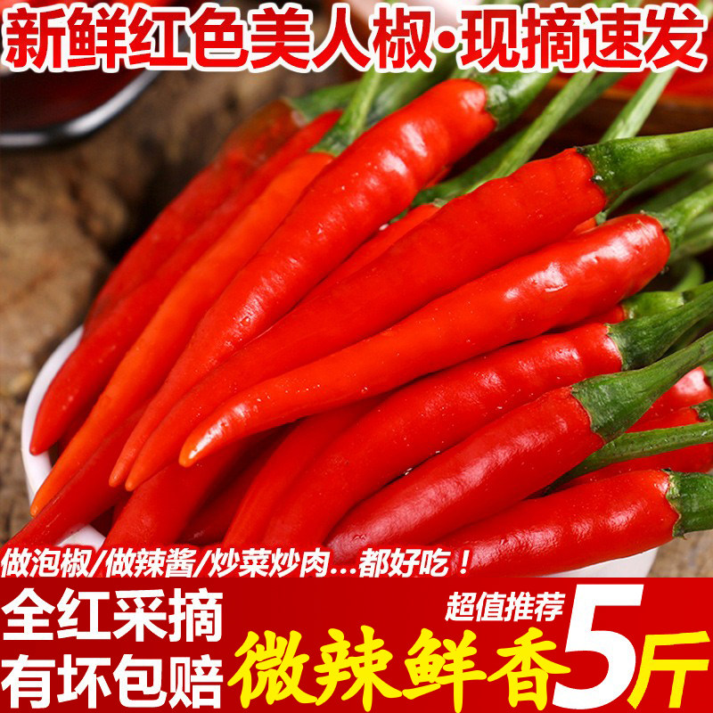 新鲜美人椒大个微辣大红椒红辣椒红尖椒现摘现发红辣子农家自种