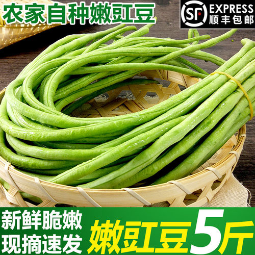 农家现摘速发 新鲜脆嫩 可炒可泡做法丰富