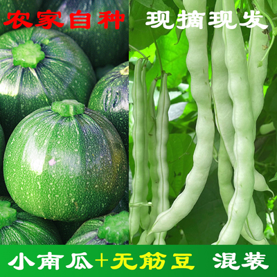 农家自种现摘现发新鲜小嫩南瓜圆南瓜+四季豆无筋豆混装组合拼装