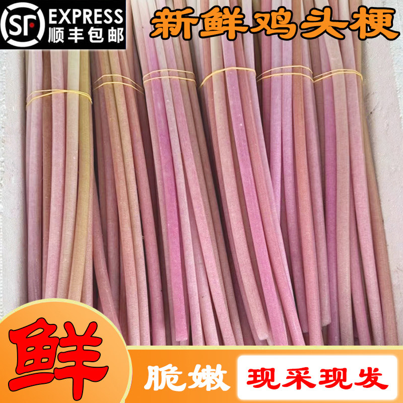 顺丰包邮新鲜鸡头梗湖北鸡头苞梗子芡实梗米刺莲蓬梗非藕尖3斤