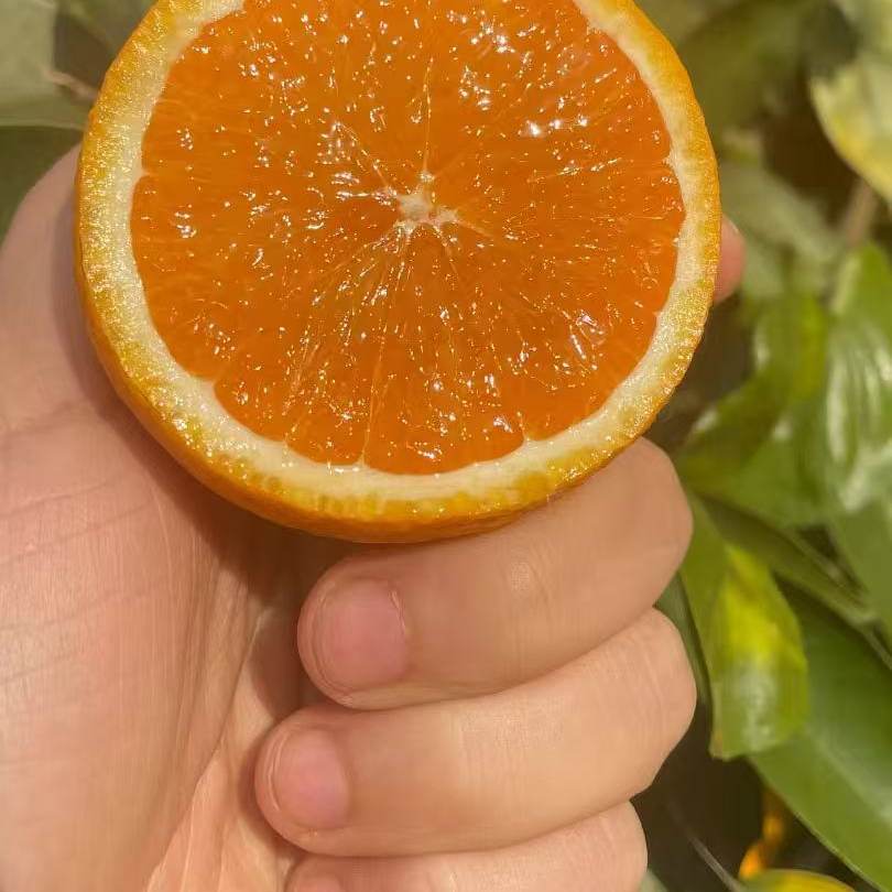 果园直采生鲜直达皮薄肉厚