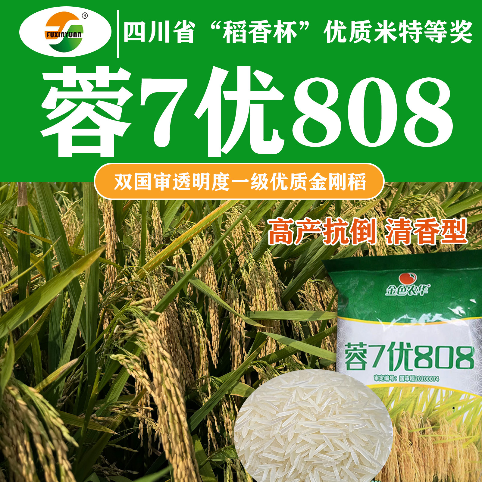 杂交水稻种子蓉7优808国审稻种籽铁杆抗倒抗病一级香米稻谷种