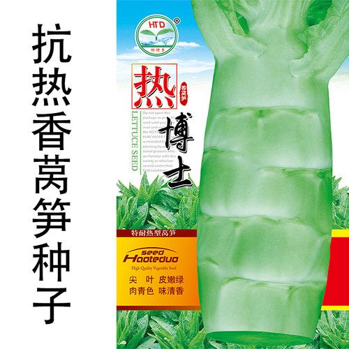 莴笋种子抗热耐抽苔夏季种植