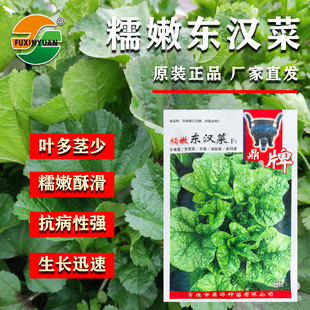 【鼎牌】糯酥东汉菜种子汗菜种子冬苋菜种滑肠高钙蔬菜种籽四季种