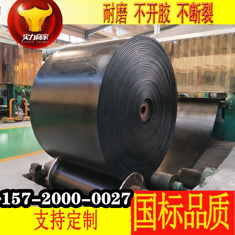 橡胶尼龙裙边大倾角耐热传送带